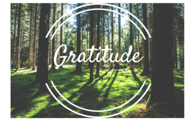 4 Ways to Gratitude