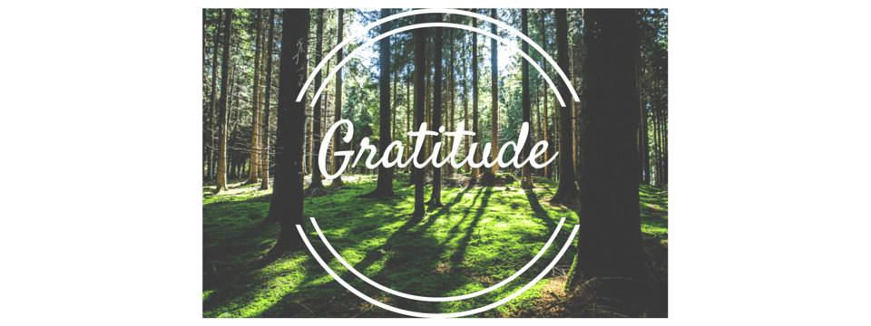 4 Ways to Gratitude